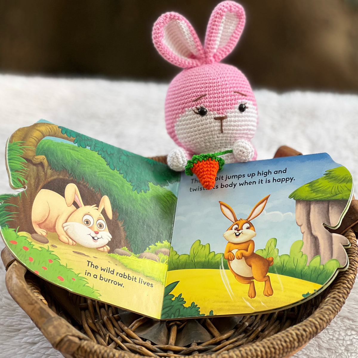 "Strawberry" Bunny Book Buddy