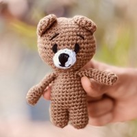 Bean Teddy